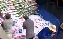 Giá phân bón tăng, người nông dân gặp khó