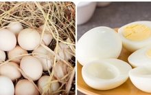 Một tuần ăn bao nhiêu quả trứng gà là đủ?