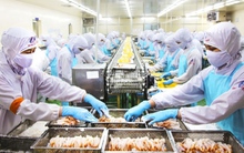 Đằng sau con số gần 52 nghìn doanh nghiệp ngừng hoạt động