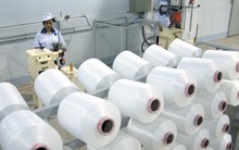 Damsan (ADS) sắp chuyển đổi lô trái phiếu 100 tỷ đồng thành cổ phiếu