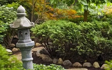 Biến sân vườn thành một ốc đảo thư giãn