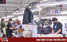 Ổn định việc làm tại chỗ cho lao động miền núi