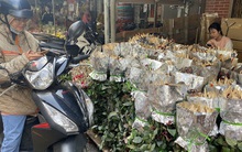 Bất ngờ với nguồn hoa hồng dịp lễ 8-3