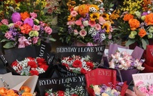 Giá hoa 8/3 tăng 'phi mã'