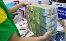 Nghị định 08: Còn nhiều việc phải làm!