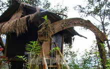 Lạ lùng nhà tổ chim trên cây cổ thụ của người Mông ở Lai Châu