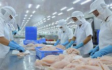 TS. Nguyễn Đình Cung: Cần nhìn thực trạng nhiều doanh nghiệp đang mất đơn hàng