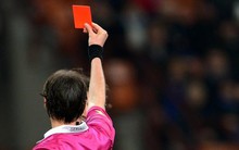 Cổ phiếu cuối cùng thuộc "họ FLC" bị đình chỉ giao dịch