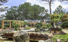 Sau Cầu Vàng, một biểu tượng mới ở Thung lũng Tình yêu, Đà Lạt được kỳ vọng trở thành điểm nhấn du lịch