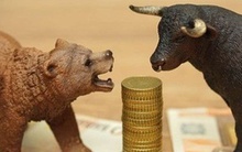 VN-Index dự báo dao động trong vùng 1.000-1.080 điểm, nhà đầu tư nên hành động ra sao?