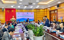 Chủ tịch CEO Group đề xuất nâng cấp khu kinh tế thành đặc khu kinh tế