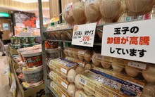 Một dịch bệnh lên đến mức nghiêm trọng nhất từ trước đến nay, đến lượt Nhật Bản khan hiếm mặt hàng quan trọng