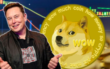 Elon Musk tìm cách thoát khỏi vụ kiện 258 tỷ USD vì đồng tiền số hình chó Dogecoin