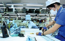 Chính phủ chỉ đạo lập tổ công tác ở các tỉnh gỡ khó cho doanh nghiệp