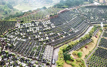 Đất nghĩa trang gấp đôi giá nhà, giá hơn 1 tỷ đồng/m2