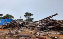 Hoàn tất hồ sơ đề nghị thu hồi chủ trương đầu tư dự án sân golf nghìn tỷ ở Gia Lai