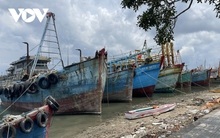Đánh bắt thua lỗ nhiều ngư dân ở Bà Rịa – Vũng Tàu rao bán tàu
