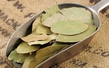 Một loại lá cây dân dã của Việt Nam đắt hàng tại nước ngoài, xuất khẩu tăng đột biến hơn 5.000% và công dụng đặc biệt ít người biết