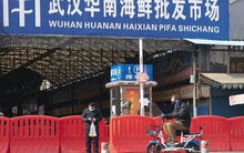 Nguồn gốc COVID-19: Trung Quốc công bố dữ liệu giật mình từ chợ Vũ Hán