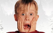 “Săn” cổ tức tiền mặt mùa đại hội: Loạt doanh nghiệp dự kiến chia cổ tức đậm năm 2023, lên tới 140%