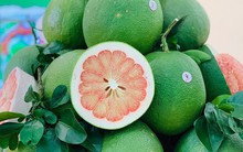 Việt Nam có giống bưởi "ngon nhất thế giới": Xuất sang Mỹ bán hơn 900 nghìn đồng/quả