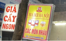 Hàng loạt cây xanh ở Hà Nội bị đóng đinh đang “kêu cứu”