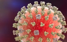 Ca tử vong đầu tiên trên thế giới vì cúm H3N8 được ghi nhận ở Trung Quốc