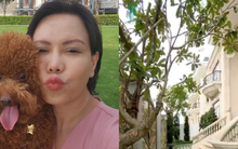 Choáng với cơ ngơi 240 tỷ đồng của NS Việt Hương: Bên ngoài xịn như biệt phủ, không gian 3 tầng ra sao?