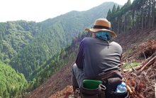 Mua đất rừng giá rẻ như cho, người đàn ông giàu sụ từ tiền đền bù trả đều đặn hàng năm: Ngồi không đếm cột điện nhân thành tiền cũng đủ sống