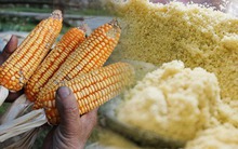 Lên bản người Mông, thưởng thức ngọt bùi của món ăn mèn mén từ hạt 'Ngọc Mễ'