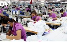 Doanh nghiệp dệt may triển khai hàng loạt giải pháp nhằm tìm kiếm, mở rộng thị trường