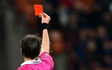 Vợ và em trai Chủ tịch HĐQT Hải Phát Invest bị đình chỉ giao dịch 4 tháng do bán “chui” cổ phiếu HPX