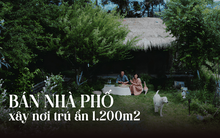 Đôi vợ chồng IT rủ nhau về hưu, bán nhà phố, mua 1200m2 đất hoang ở quê làm nơi ẩn cư, sống mặc kệ sự đời