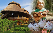 Ngôi trường quốc tế ấn tượng từ vẻ ngoài, chủ yếu làm bằng tre, dành giải thưởng kiến trúc đình đám: Đến cách giảng dạy cũng khác biệt