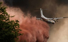 Cháy hơn 930 ha rừng ở Pháp, hàng trăm người phải sơ tán