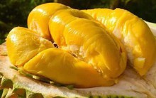 Người Trung Quốc chia sẻ cho nhau bí kíp thưởng thức loại 'quả vua' của Việt Nam: Nếu đã biết ăn thì chỉ có 'nghiện'