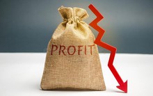 Cập nhật BCTC quý 1/2023 ngày 17/4: Một DN thép báo lỗ 3 quý liên tiếp, nhóm BĐS khu công nghiệp tỏa sáng