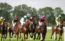 Thái Nguyên quy hoạch trường đua ngựa, làm thêm 13 sân golf