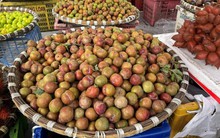'Chợ mạng' rao bán 200.000 đồng/kg mận Mộc Châu