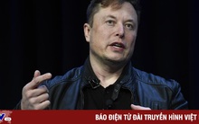 Elon Musk tuyên bố sẽ ra mắt TruthGPT