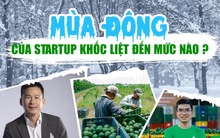Dàn founder toàn "thứ dữ" từ  Vinshop, VinID, The Coffee House đi gọi vốn 70 lần đều bị từ chối, NĐT mạo hiểm tìm kiếm gì trong mùa đông của startup?