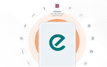 Nguồn thu xuống thấp nhất 7 năm, lợi nhuận công ty quảng cáo trực tuyến FPT Online giảm 99%