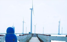 Loạt dự án điện gió chậm hòa lưới điện: Phơi nắng, chờ gỡ khó