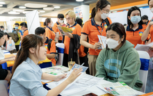 Đỏ mắt tìm nhân lực khối ngành chăn nuôi, thú y