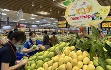 Giật mình với giá xoài cát Hòa Lộc bán tại các siêu thị TP HCM