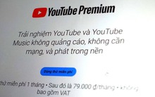 YouTube Premium mở bán tại VN, tiểu thương bán tài khoản không lo "sập tiệm" mà còn mừng rỡ: "Lượng khách đông gấp nhiều lần"