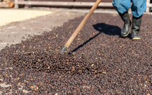 Một mặt hàng xuất khẩu sang Thái Lan bất ngờ tăng nóng 255% trong quý 1, Việt Nam sản xuất gấp 62 lần so với xứ chùa Vàng