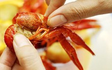 Tai nạn thường gặp khi đi du lịch, ai cũng nên biết để tránh hại thân