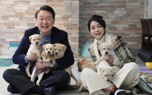 Tuyên bố của Đệ nhất phu nhân Hàn Quốc khơi lại cuộc tranh cãi dai dẳng về một món ăn