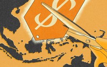 Sau Mỹ, 1 ứng dụng mua sắm Trung Quốc bắt đầu 'xâm chiếm' châu Âu, bán mọi thứ với tiêu chí 'rẻ nhưng không ôi', dự là đối thủ không đội trời chung với Shopee